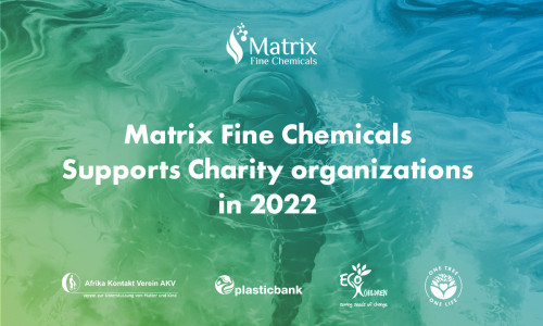 Support of Charity organization in 2022